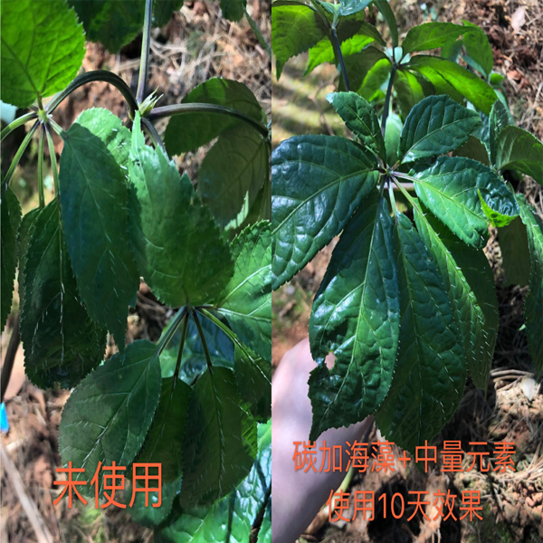 產(chǎn)品應(yīng)用展示